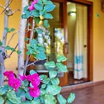 Club Saraceno - Bovis Hotel 4*