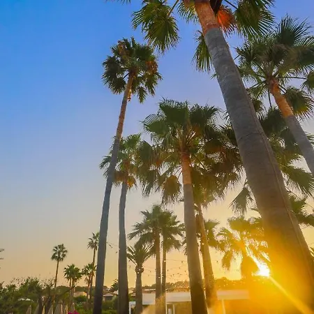 Club Saraceno - Bovis ホテル