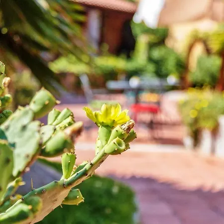 Hotel Club Saraceno - Bovis 4*