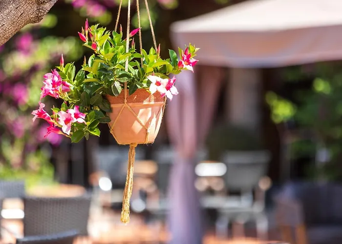 Club Saraceno - Bovis Hotel