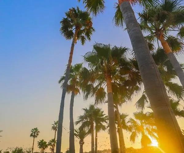 Club Saraceno - Bovis Hotel