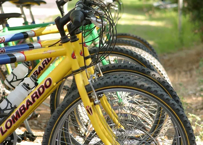 Club Saraceno - Bovis 4* Àrbatax