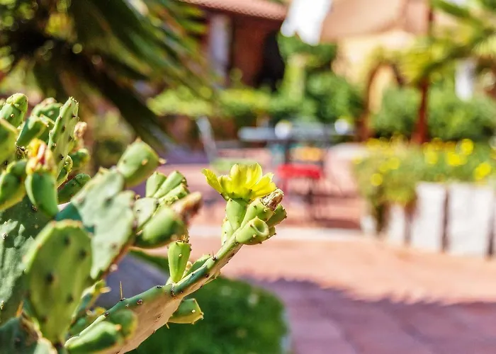 Hotel Club Saraceno - Bovis 4*