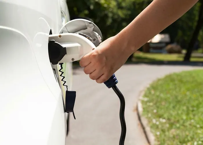 Club Saraceno - Bovis Hotel